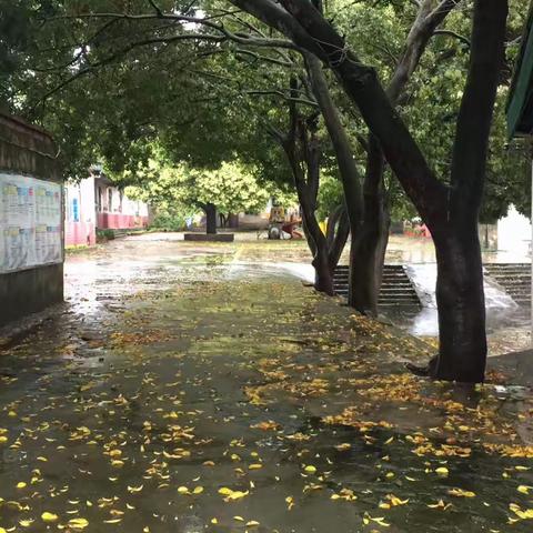 溶江镇中心幼儿园托班“停课不停学，成长不停歇一日活动24