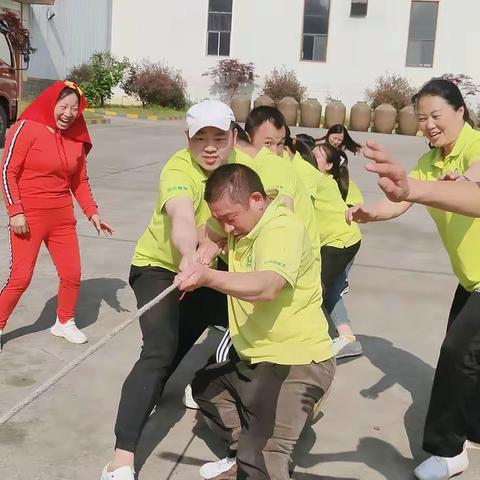 猕猴桃股份公司举行“迎五一”拔河比赛