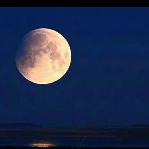 田丰幼儿园中秋节主题活动