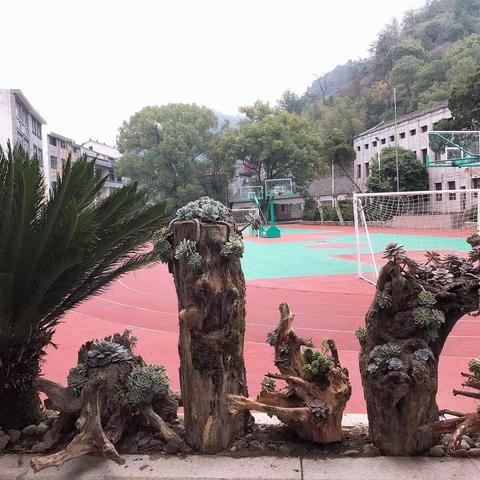青田县高市乡学校：关于创建省教育基本现代化县告家长书