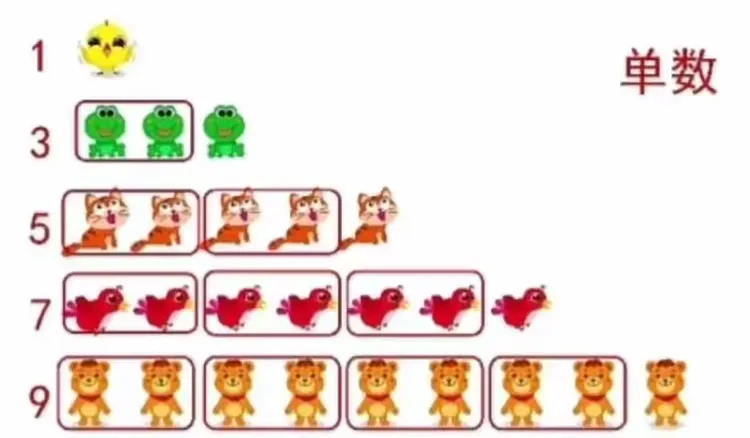 大班数学活动: 复习《认识单数和双数》
