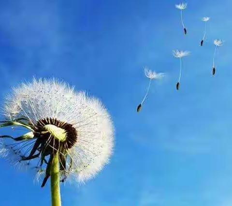 精彩课堂，演绎教师风采——北景初中第一轮普听课活动纪实(一)