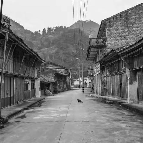 乡愁之寻访将军古道