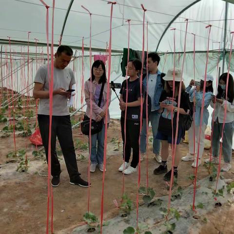 沃土工程项目北大光华学院实践课题组成员参观我市农业发展项目
