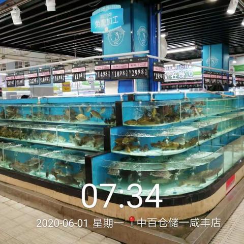 咸丰店6月1日生鲜第一次营运报告