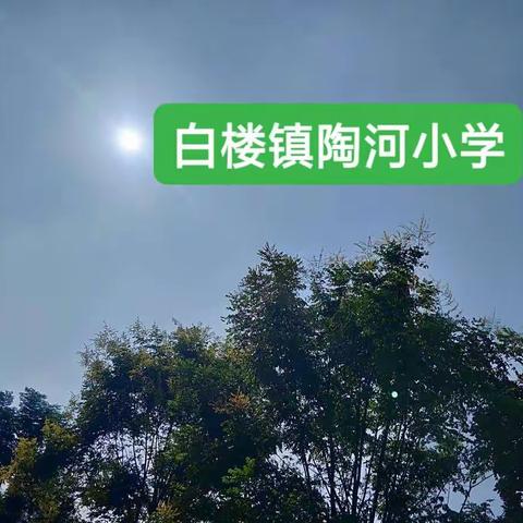 空中课堂 线上学习 陶河小学教与学持续开展