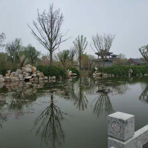 瞻仰领袖风采，感恩幸福生活——向阳中队丽正园研学之行