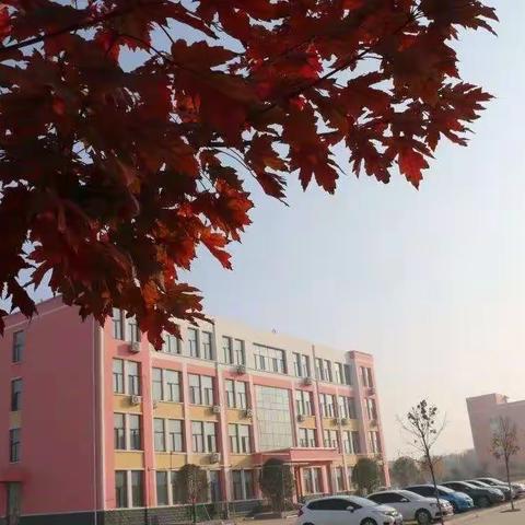 赛课促成长，课堂展风采