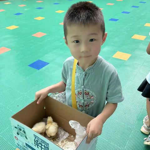 活泼可爱的小帅哥傅广浩