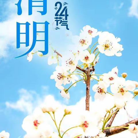 濮阳市油田第四小学                    我们的节日•清明踏青赏春活动——二（6）班未来之星社团