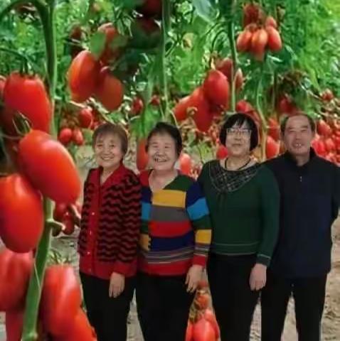 老同学