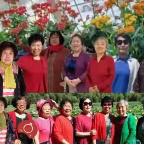 赵清花的美篇