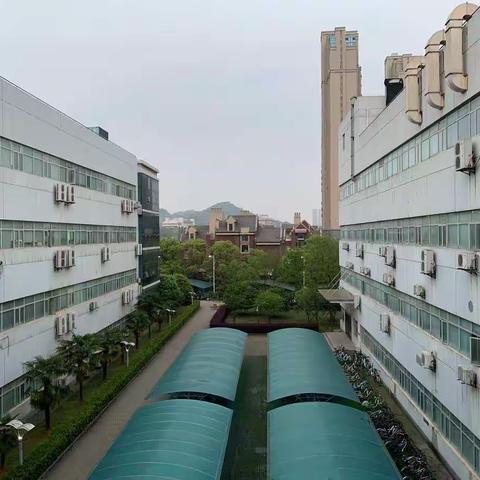 关于手机拍照