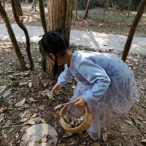 地锦农场蘑菇养殖地 ——KC2班研学活动（2）