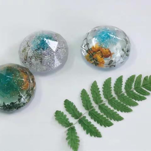 生物科学社团学期总结