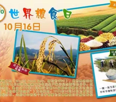 爱粮节粮，传承美德——金鹰花园幼儿园“世界粮食日”宣传周倡议书