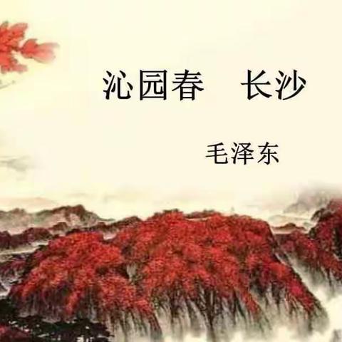 沁园书房——为你读书