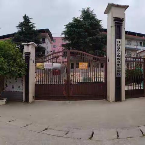 夏荷飘香，温情弥漫——夏局长到白水中心校视察指导工作