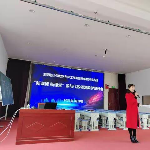 “新课标 新课堂”数与代数领域教学研讨会—学习体会