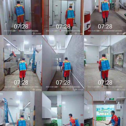 西乡街道家庭厨余垃圾收运处理服务日志2022.12.5