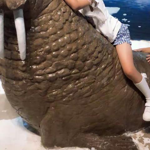 夏日记忆