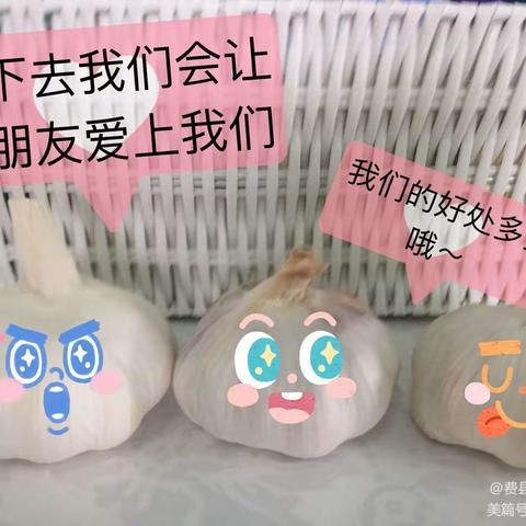 区域游戏，“蒜”我最棒