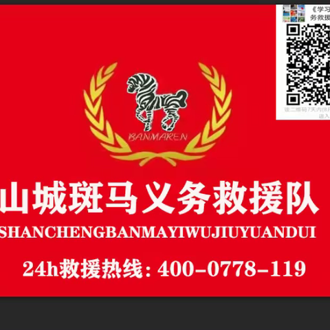 山城斑马义务救援队六月份月汇总