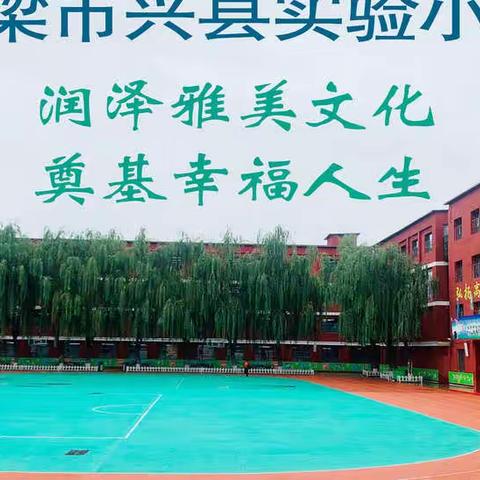 踔厉奋发担使命 笃行不怠开新局———兴县实验小学教学工作综述