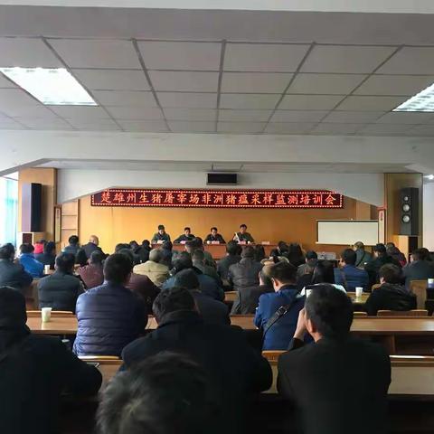 楚雄州农业局组织召开生猪屠宰场非洲猪瘟采样监测培训会