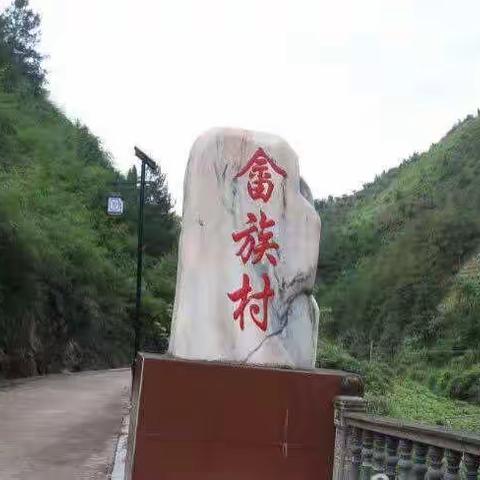 走基层，送温暖—走进松阳裕溪乡