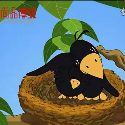 感恩节活动