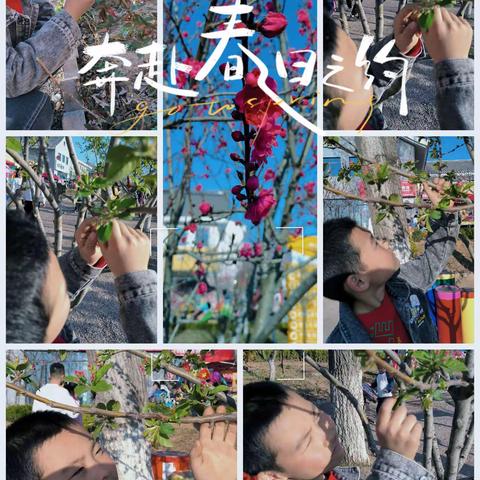 奔赴春日之约-——府前街小学一年级八班