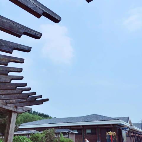 又是一年成长季