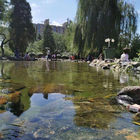 踏步寻找秋天的印迹