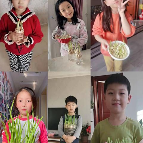 【龙腾会小】会龙山小学科学寒假生活展示