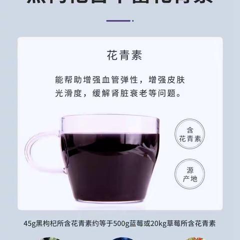 一颗黑枸杞的旅程