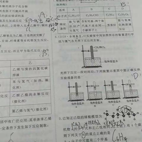 刘冰冰，英语，语文。物理，化学，生物，数学