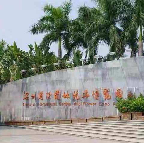 又进深圳园博园