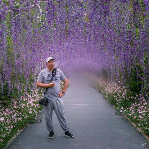 顽强地走过庚子鼠年