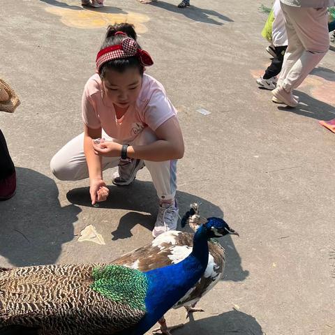 一朵五年级的寒假生活