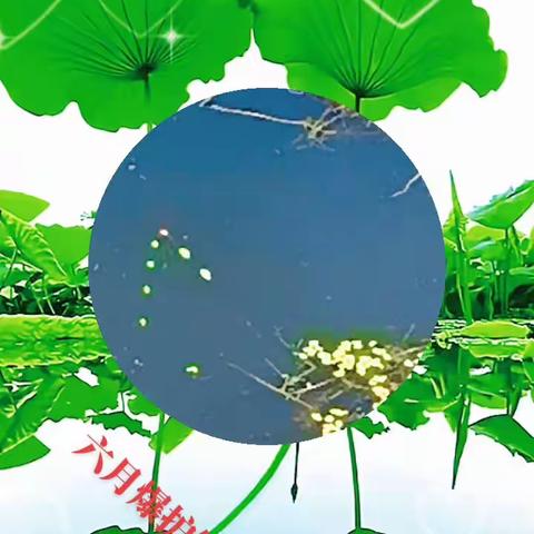 快乐生活每一天