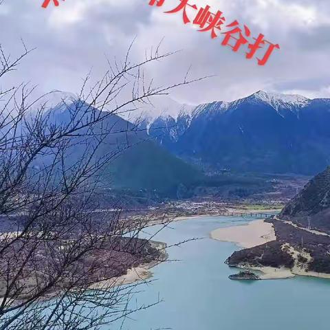 西藏雅鲁藏布大峡谷打卡