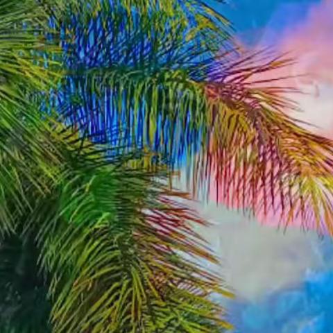 冬日暖阳下钓个鱼