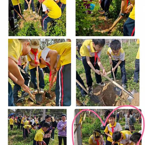 慧·雅假日战队 ㉓|春风十里 有你有我一一玉州区第三实验小学1806班志愿植树服务活动