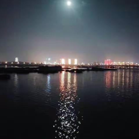 沂蒙湖畔夜景