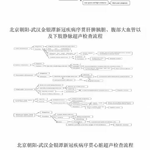 北京朝阳-金银潭新冠疾病序贯超声检查流程