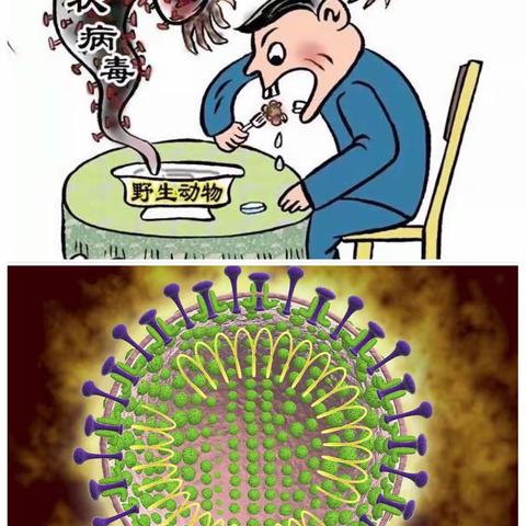 振兴小学二（9）班徐子涵 寒假中的我