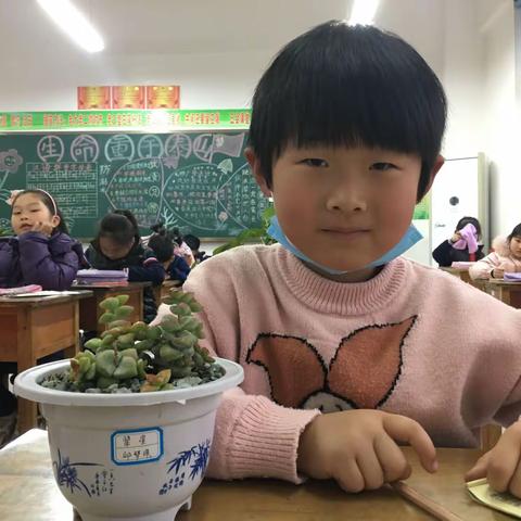 我的小可爱