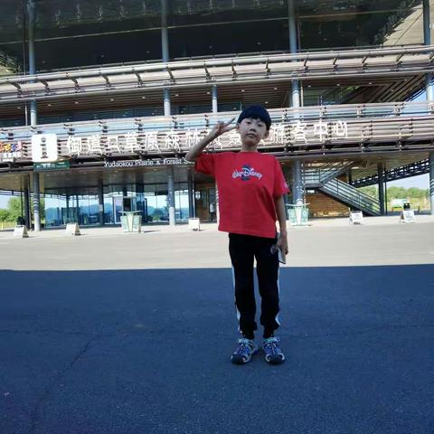 小金豆种植成长日记