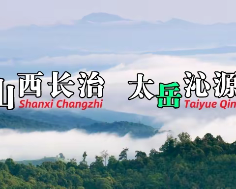 县人大常委会机关党支部开展“重温入党誓词、牢记初心使命”主题活动